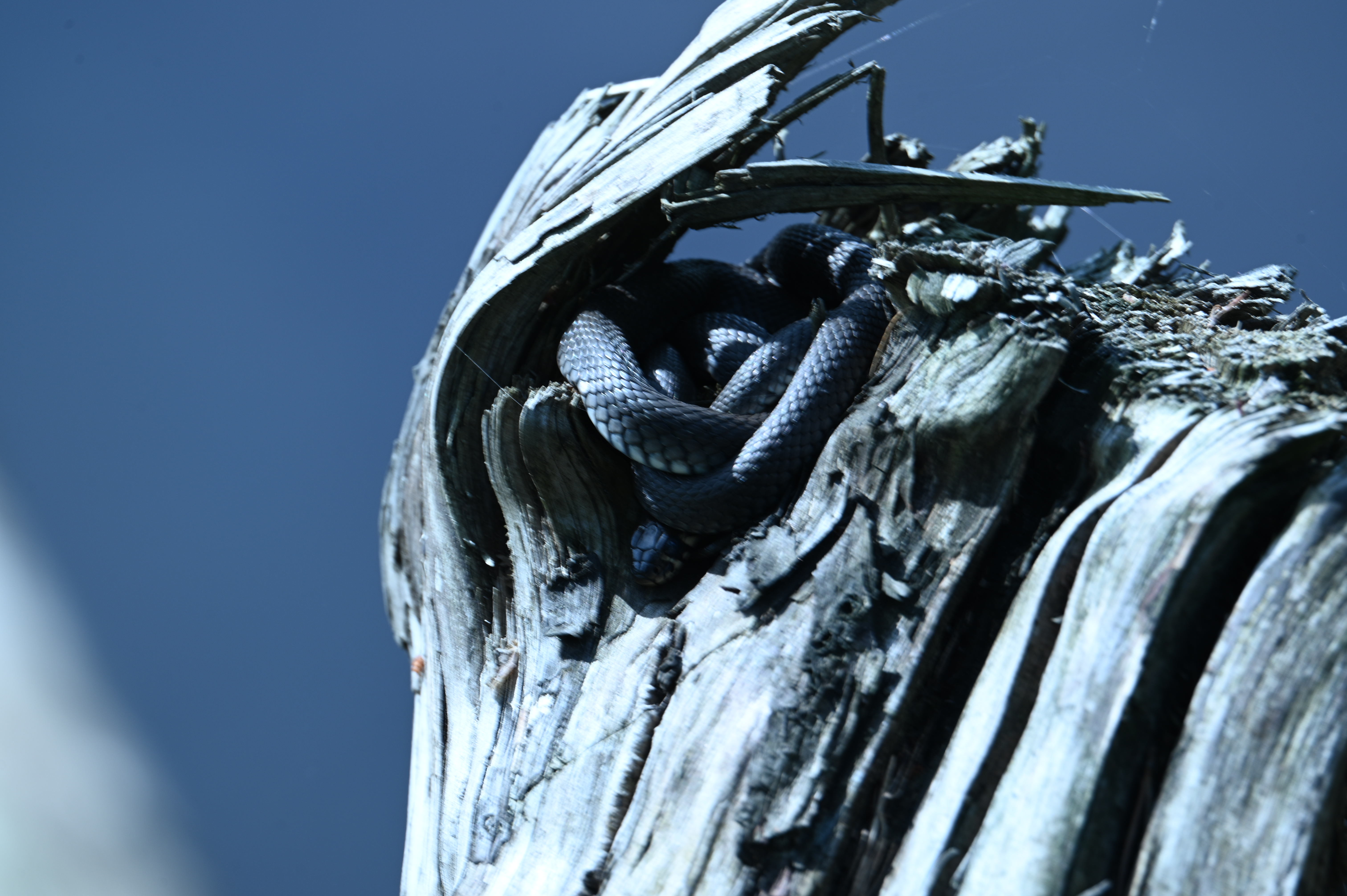 2025/07/09-14 - trip/DSC_0496.JPG